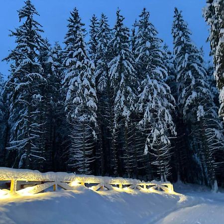 Algara Hut Hotel Panichishte Exterior photo