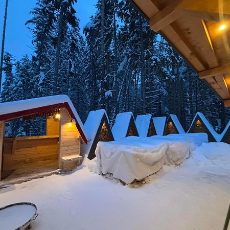 Algara Hut Hotel Panichishte Exterior photo