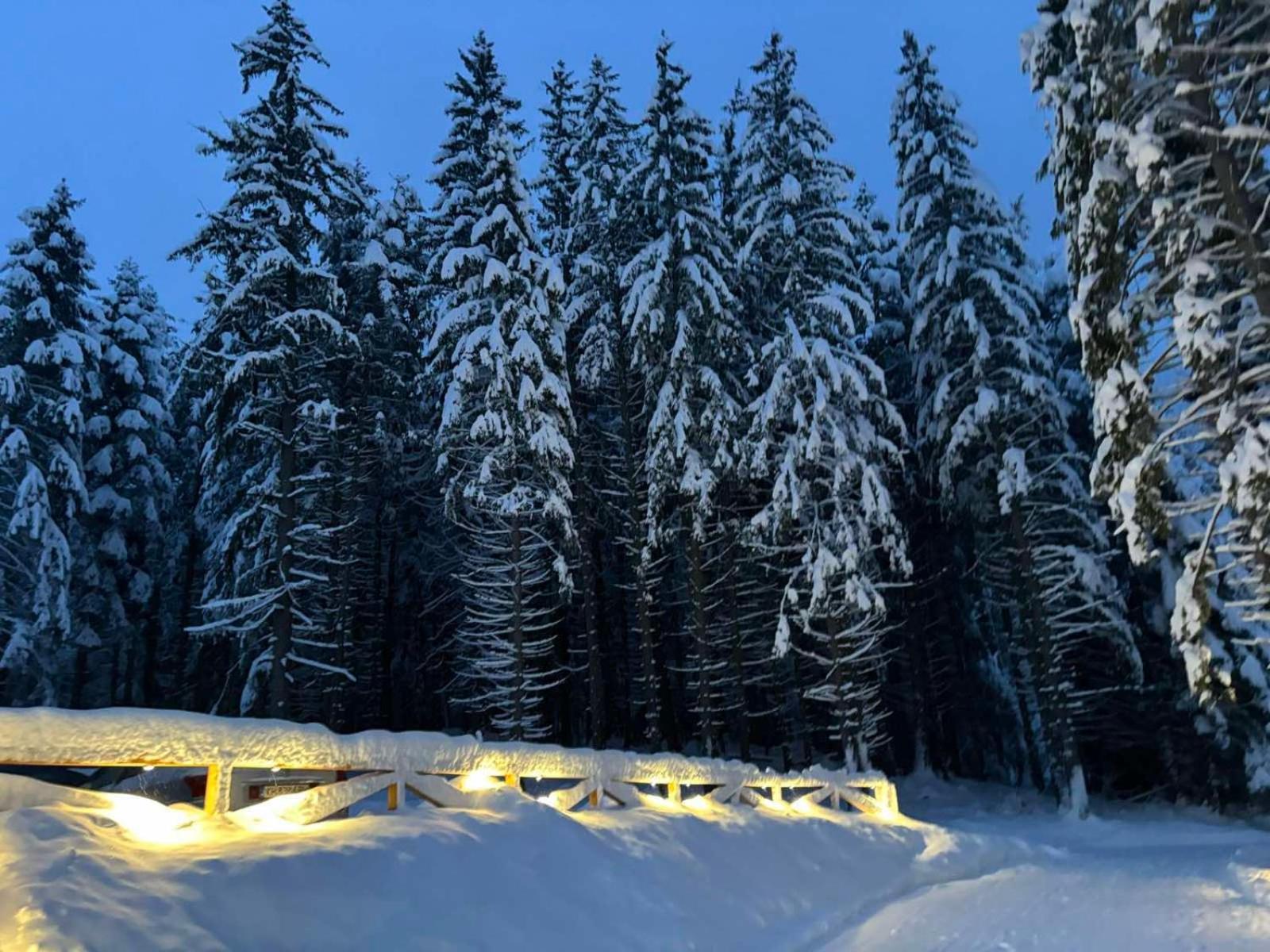 Algara Hut Hotel Panichishte Exterior photo