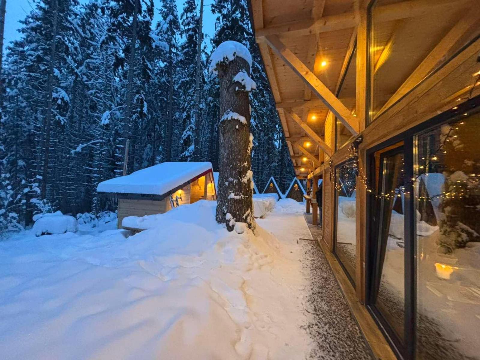Algara Hut Hotel Panichishte Exterior photo