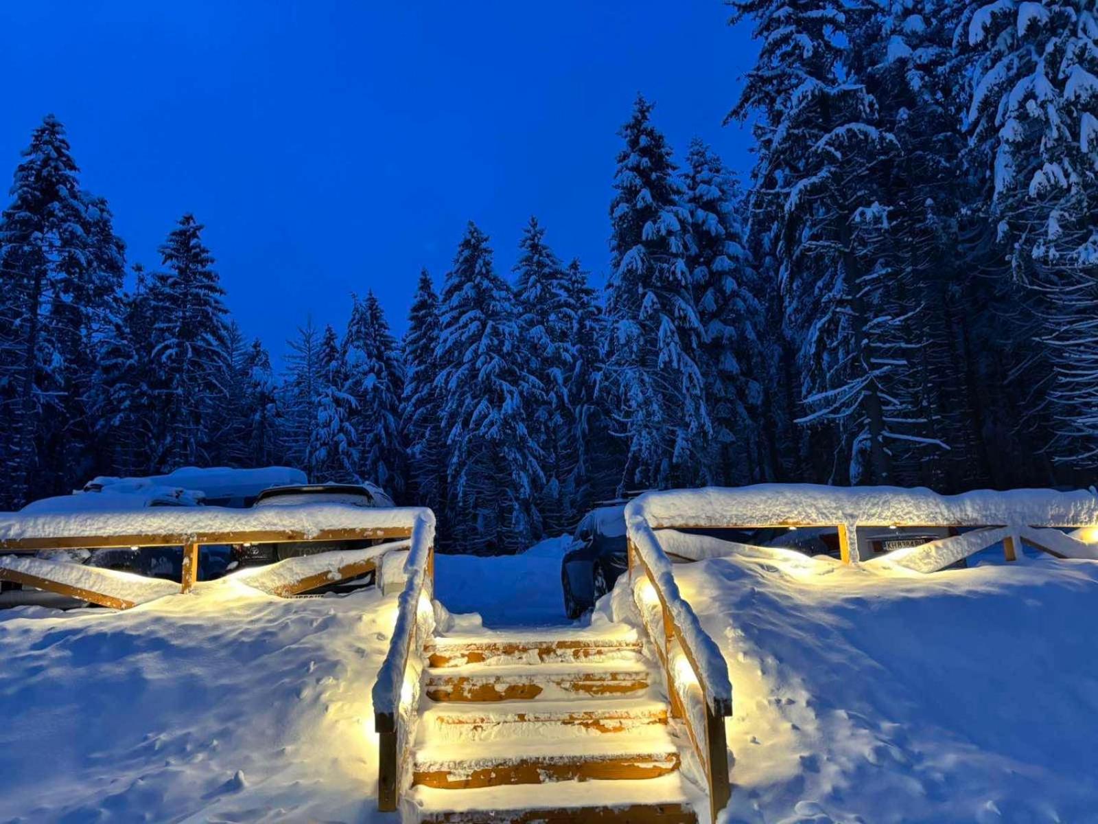 Algara Hut Hotel Panichishte Exterior photo